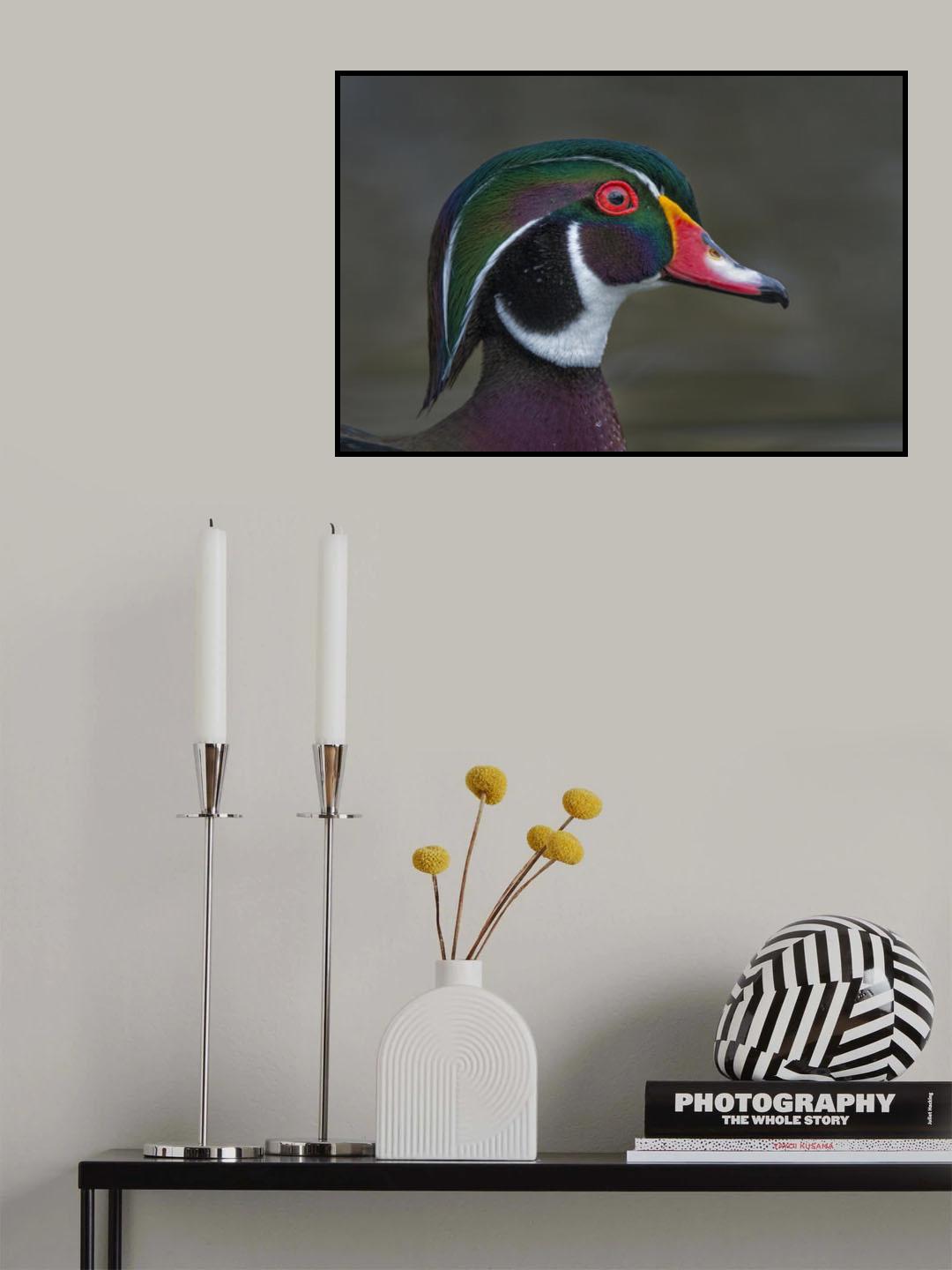 Coat of many colors Poster och Canvastavla