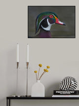 Coat of many colors Poster och Canvastavla