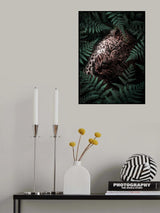 Leopard In Ferns Poster och Canvastavla