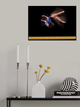 Poster och Canvastavla