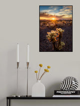 This is my territory Poster och Canvastavla
