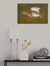Poster och Canvastavla