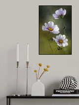 *Cosmos Poster och Canvastavla