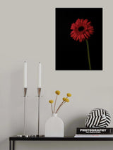 Beautiful flower Poster och Canvastavla