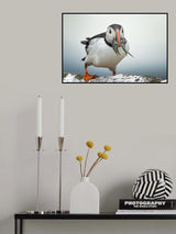 Sushi Love Poster och Canvastavla