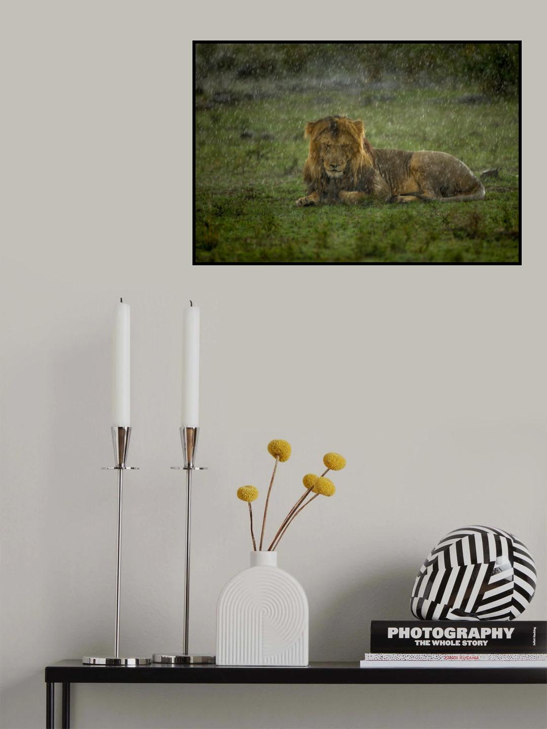SOAK Poster och Canvastavla