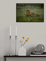SOAK Poster och Canvastavla