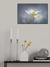 Dreamy Poster och Canvastavla