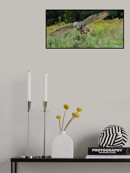Spread Your Wings and Fly Poster och Canvastavla