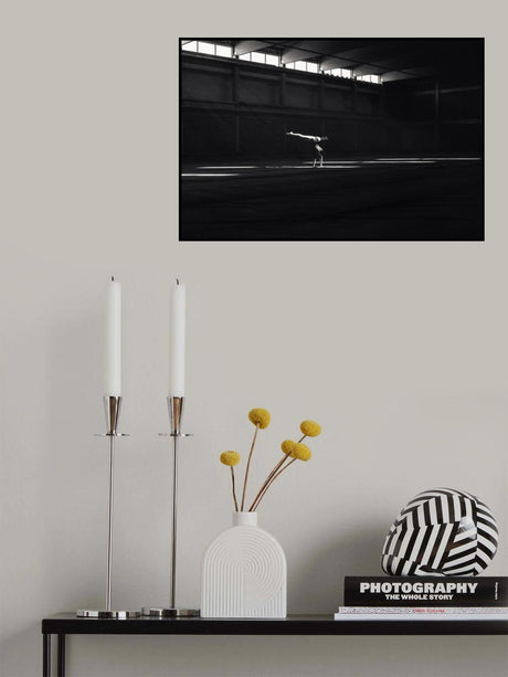 Ballando nella luce Poster och Canvastavla