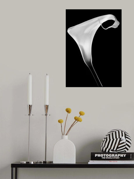 Calla Poster och Canvastavla