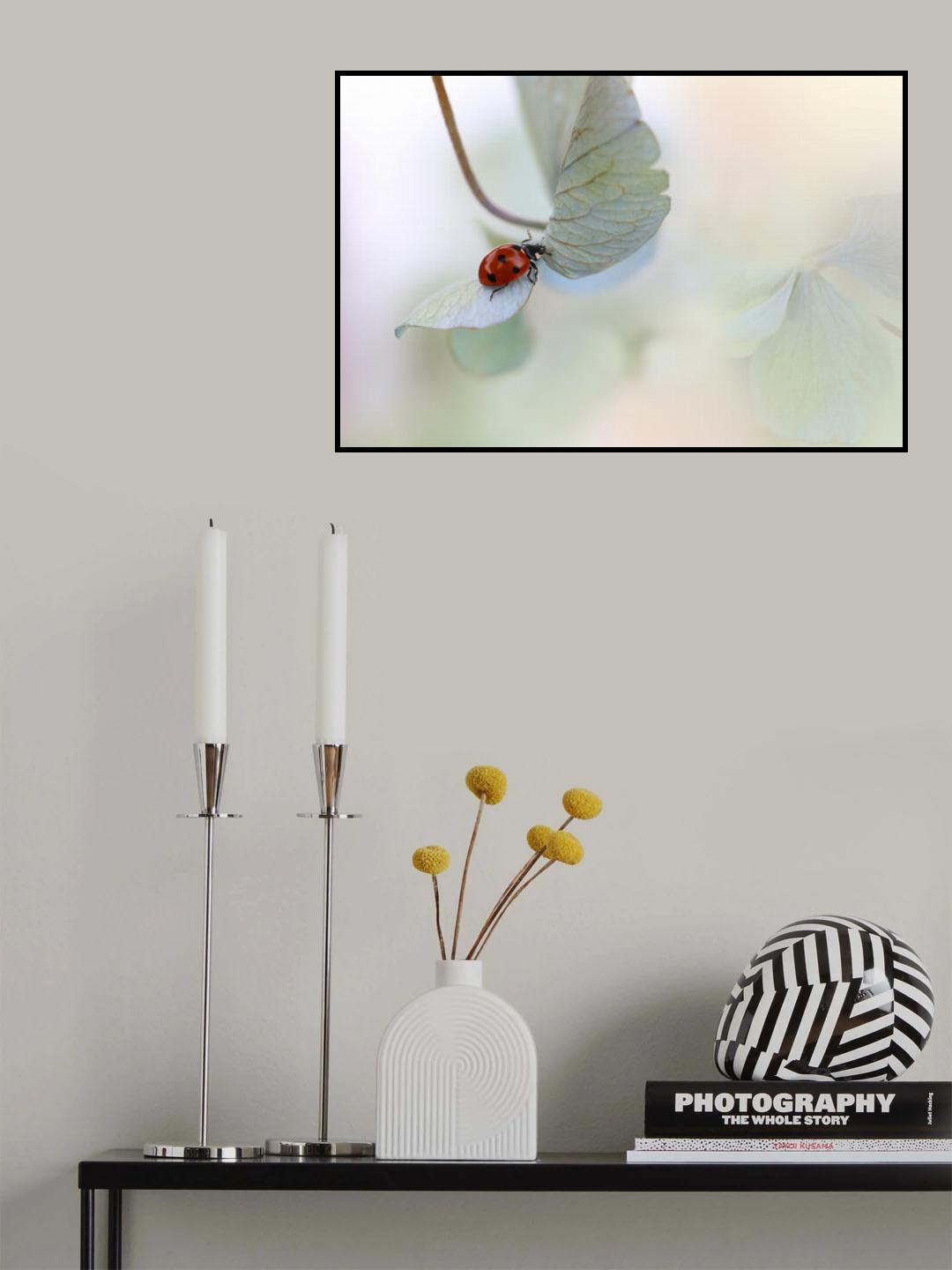 Ladybird on blue-green hydrangea Poster och Canvastavla