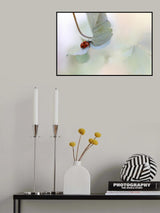 Ladybird on blue-green hydrangea Poster och Canvastavla