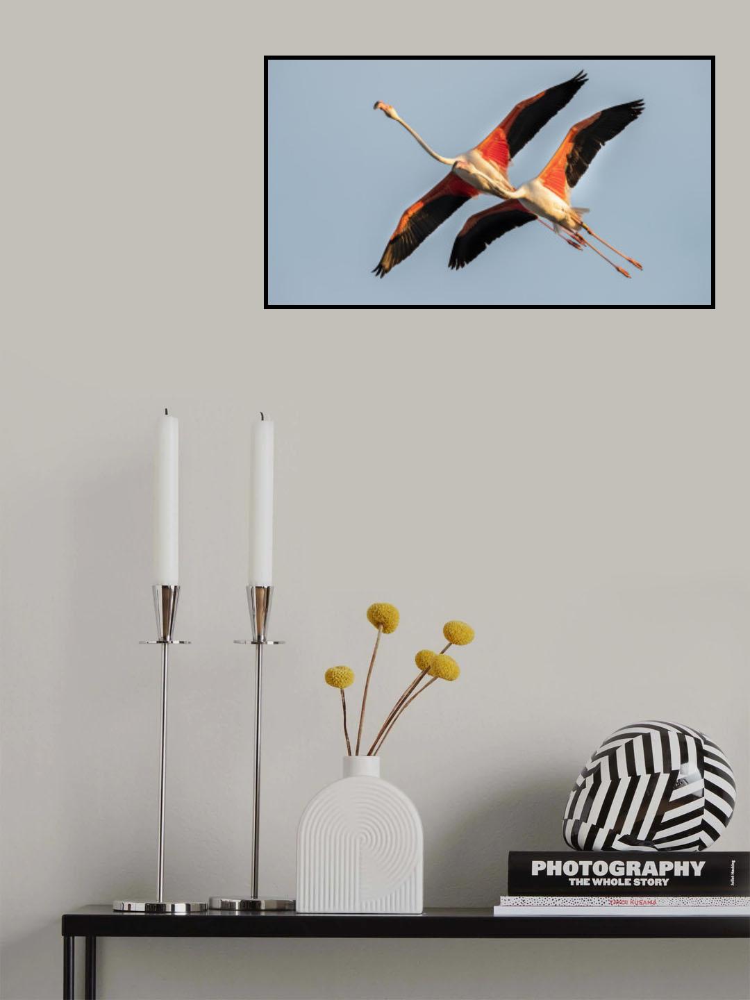 Synchronism Poster och Canvastavla