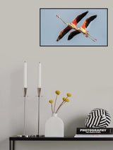 Synchronism Poster och Canvastavla