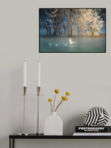 Spirit of a swan Poster och Canvastavla