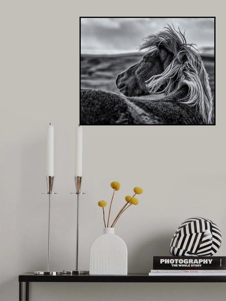 Glance Back Poster och Canvastavla