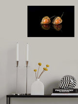 Latten Fruit Poster och Canvastavla