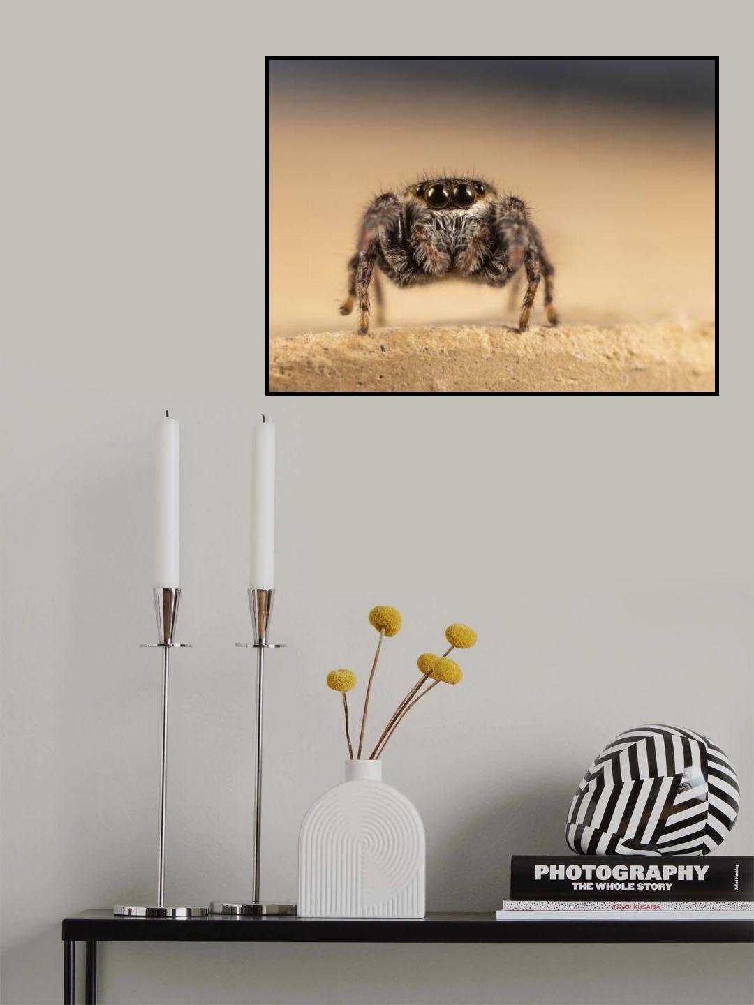 Kindness Poster och Canvastavla