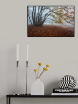 Fog in the woods Poster och Canvastavla