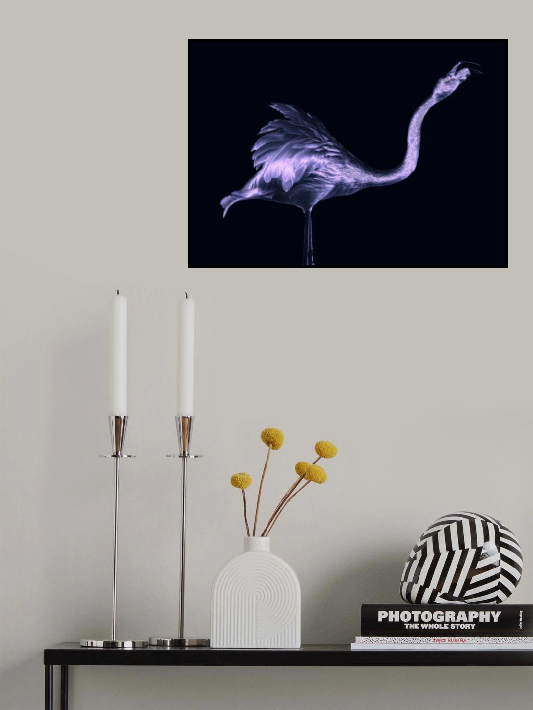 Silver Flamingo Poster och Canvastavla