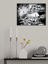 Essence of Summer Joy Poster och Canvastavla