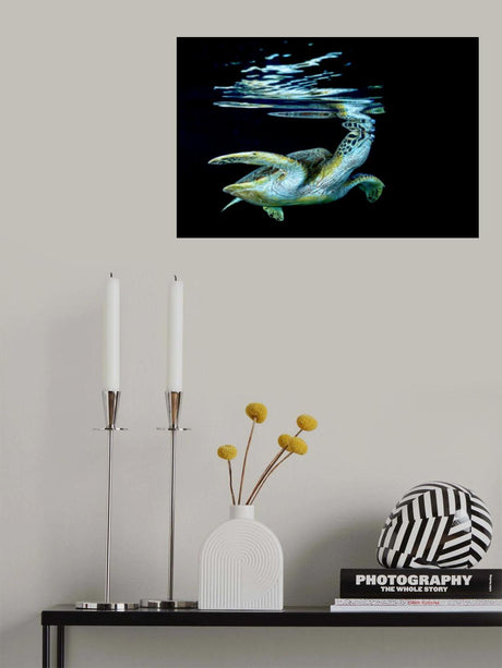Surface Poster och Canvastavla