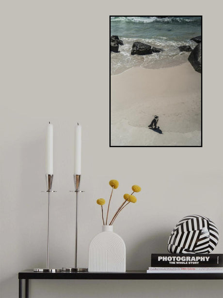 Solo Poster och Canvastavla