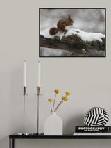 gnam gnam! Poster och Canvastavla