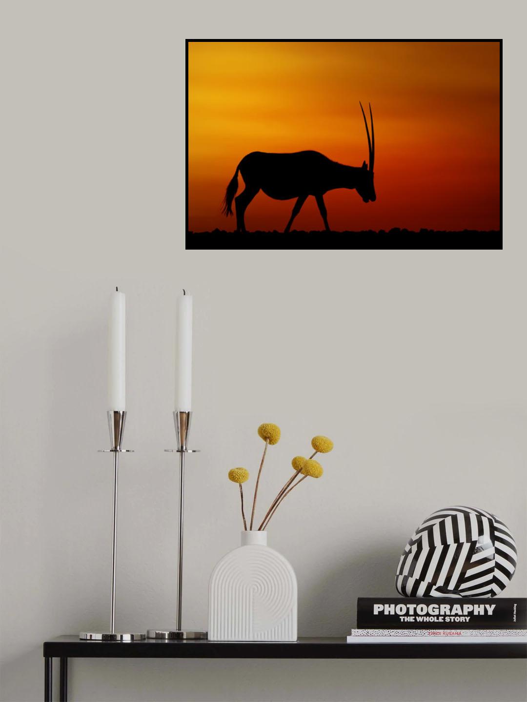 Arabian Oryx Poster och Canvastavla