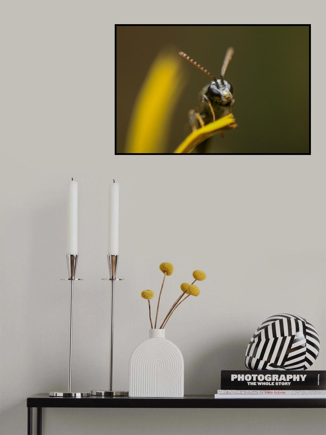 The look of the wild bee. Poster och Canvastavla