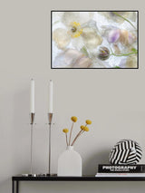 Anemone frost Poster och Canvastavla