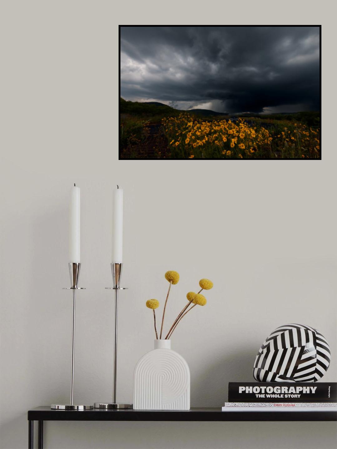Wild Flower and Storm Poster och Canvastavla