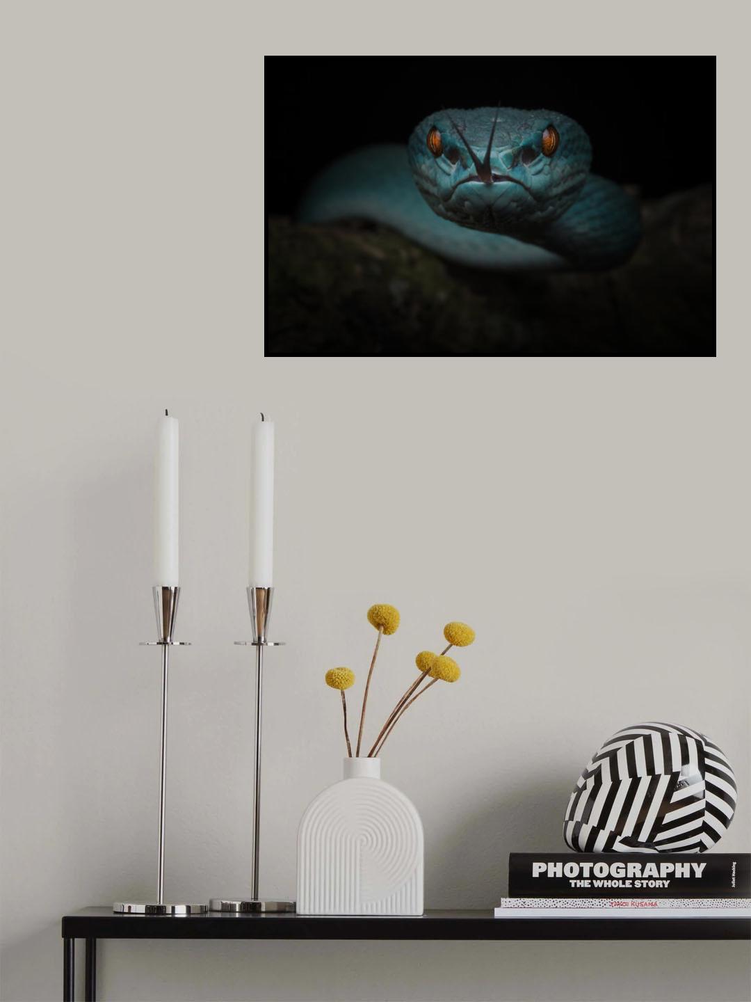 From The Dark Poster och Canvastavla