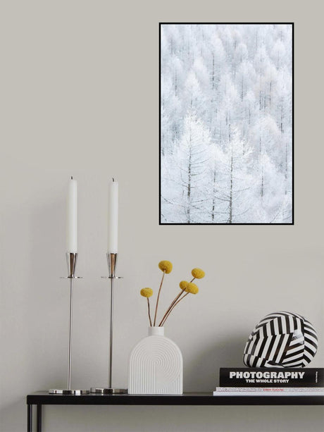 清浄（Seijyou） Poster och Canvastavla