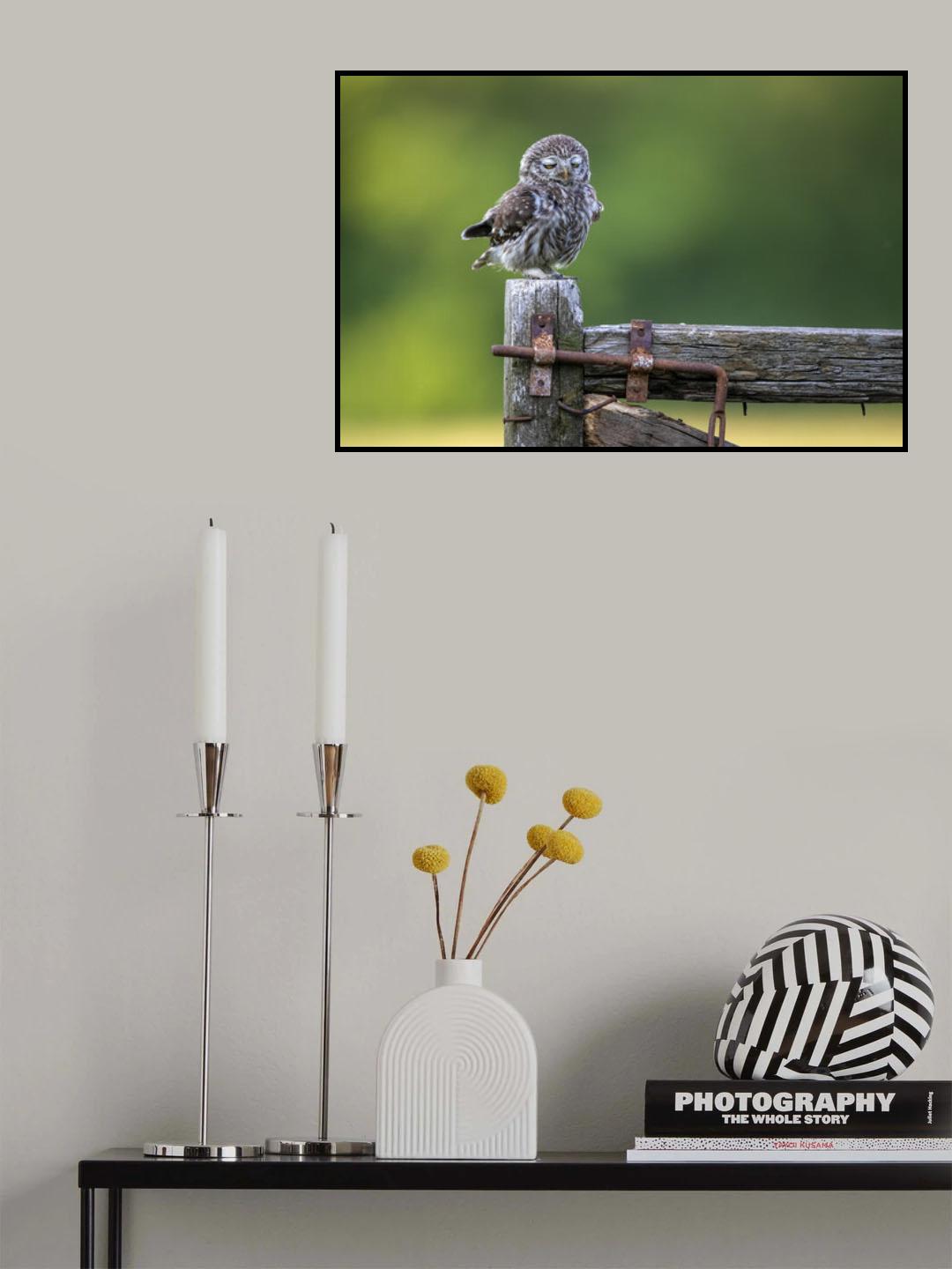 Sleepy Poster och Canvastavla