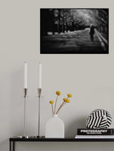 Poster och Canvastavla