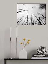 Reaching the skies Poster och Canvastavla
