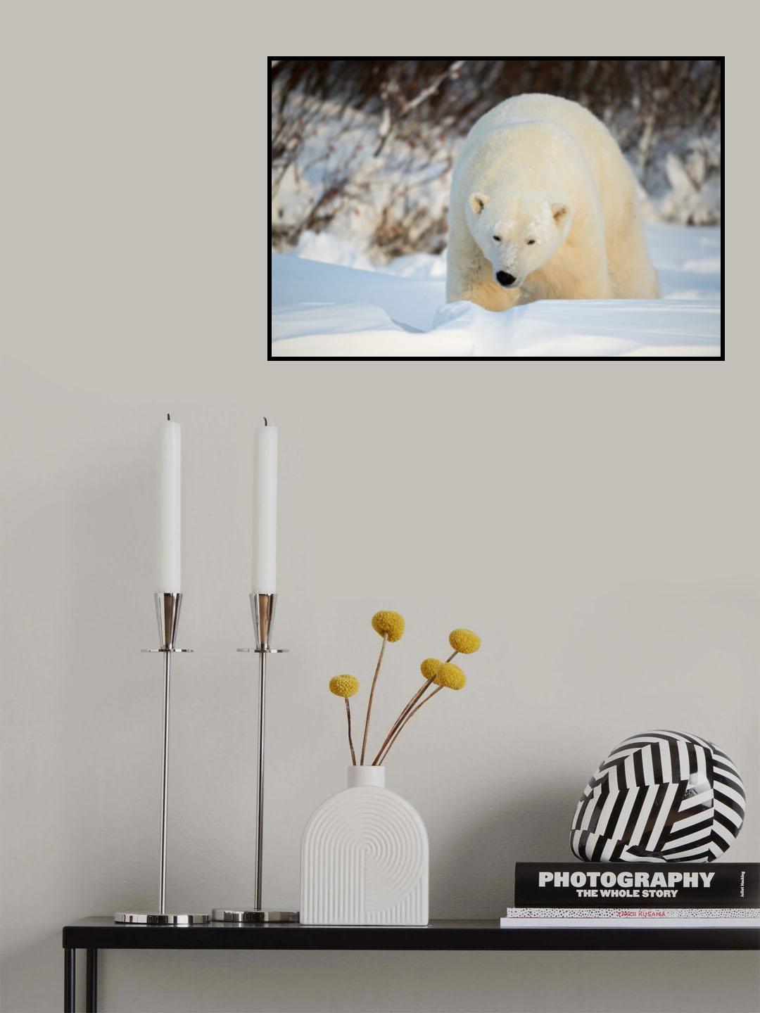 Polar Giant Poster och Canvastavla