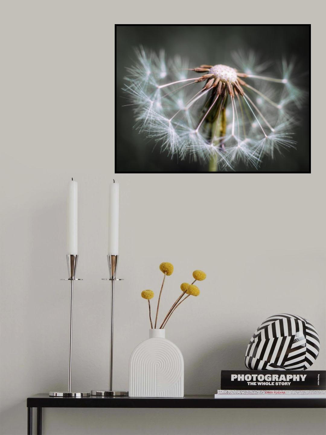Dandelion fluff Poster och Canvastavla