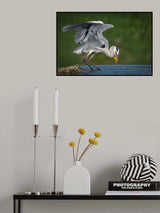no title Poster och Canvastavla
