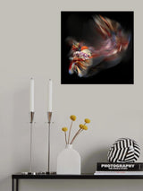 Bettafish Path Poster och Canvastavla