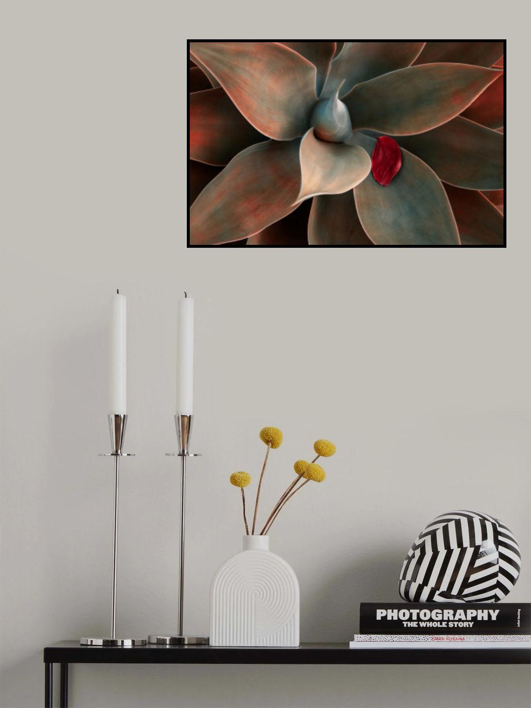 Red Leaf Down Poster och Canvastavla