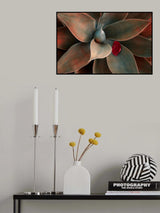 Red Leaf Down Poster och Canvastavla