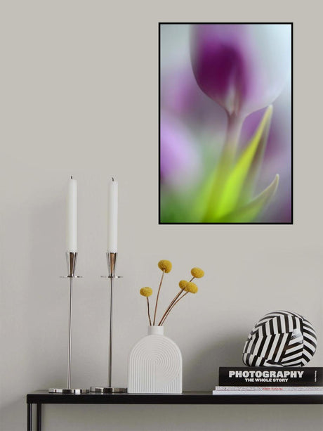 Soft secrets Poster och Canvastavla