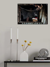 Poster och Canvastavla