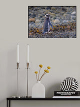 A very fine fellow Poster och Canvastavla