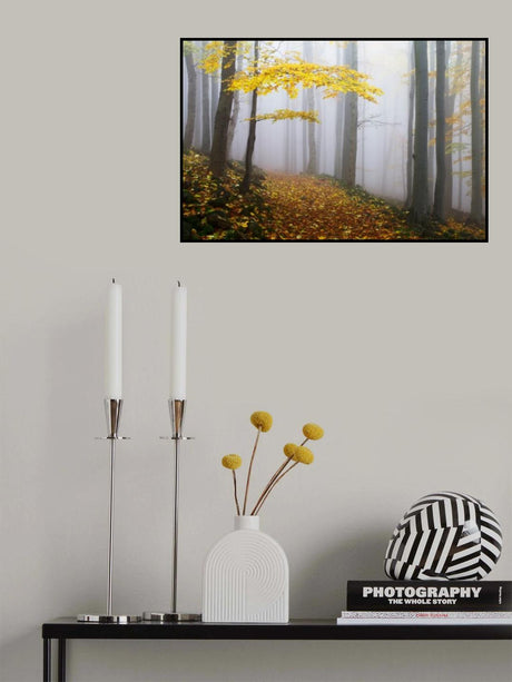Poster och Canvastavla