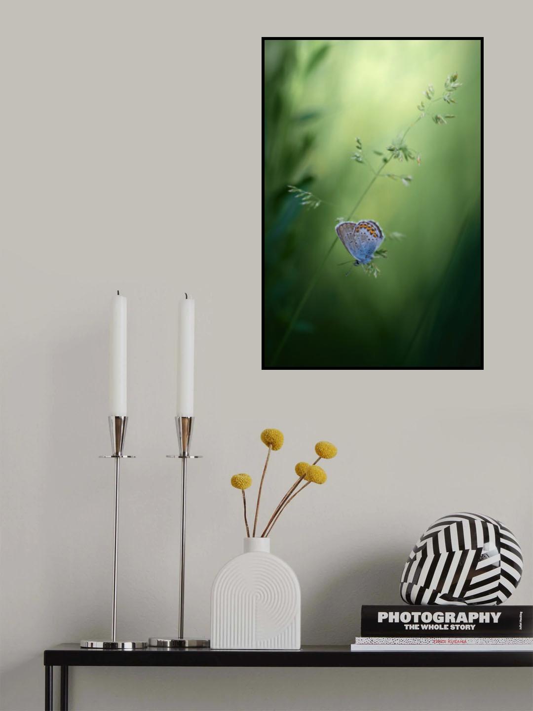 Cute wings Poster och Canvastavla