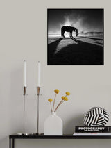The winter Poster och Canvastavla